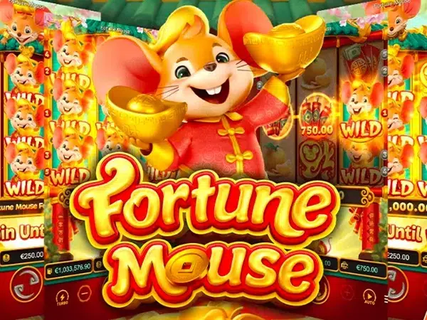 Bingo ao vivo online