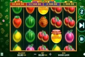 Sport betting login